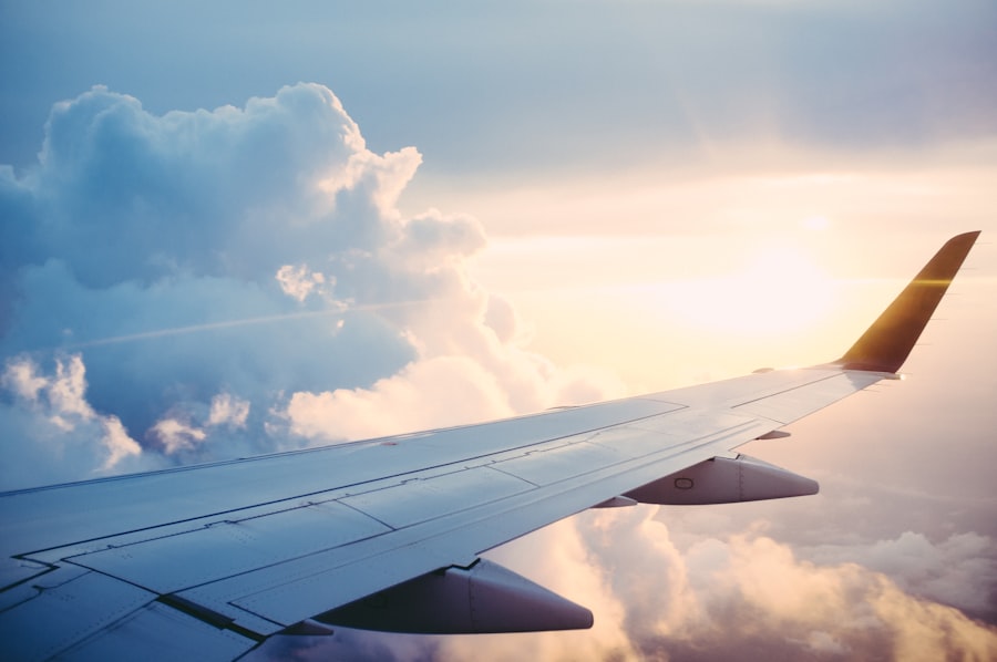 Airplane wing for travel insurance